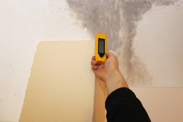 Best Mold Removal for HVAC Installations  in The Dalles, OR