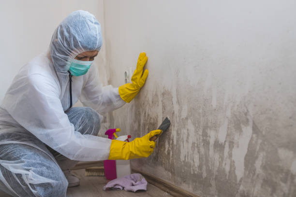 Best Air Quality Testing for Mold Spores  in The Dalles, OR