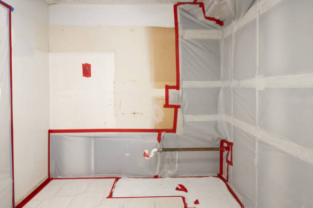 Best Black Mold Removal  in The Dalles, OR