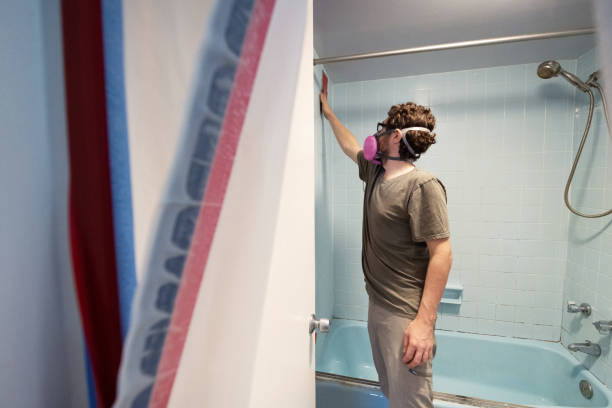 Professional Mold Removal in The Dalles, OR