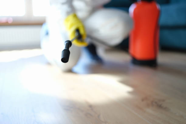 Best Comprehensive Air Testing for Mold Contaminants  in The Dalles, OR