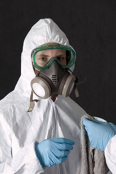 Best Asbestos and Lead Testing During Mold Inspection  in The Dalles, OR